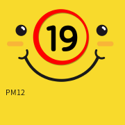 PM12